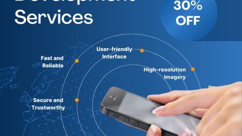 Develop Your Business Software at Low Cost with FSMIA Technologies
